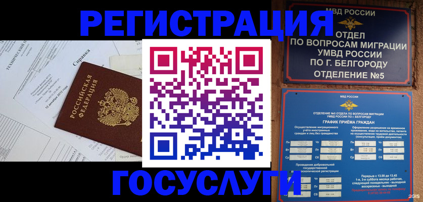 временная прописка в Лузе